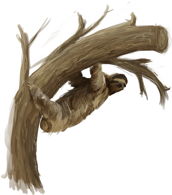 Queens Gifts from Around the World