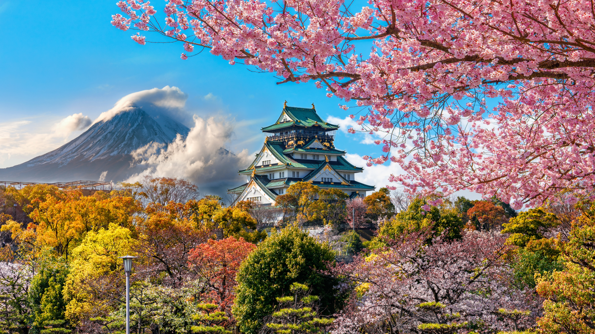 FAQs about Travelling to Japan | MTC
